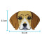 écusson thermocollant Beagle - Chien - marron blanc - miniature variant 4